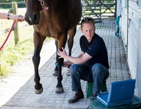 Lameness Ultrasound - click to enlarge Lameness Ultrasound